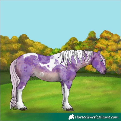 Horse Color:Watercolor Silver Buckskin Merle Tobiano Rabicano