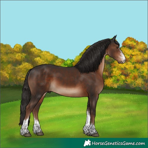 Horse Color:Liver Chestnut Sabino Tobiano