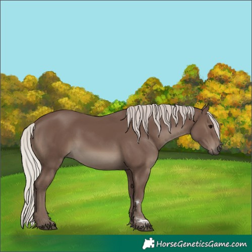 Horse Color:Silver Black 