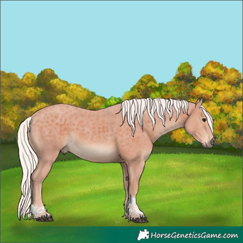Horse Color:Silver Black Tobiano