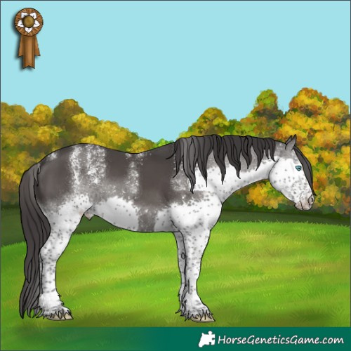 Horse Color:Powder White Smoky Black Splash