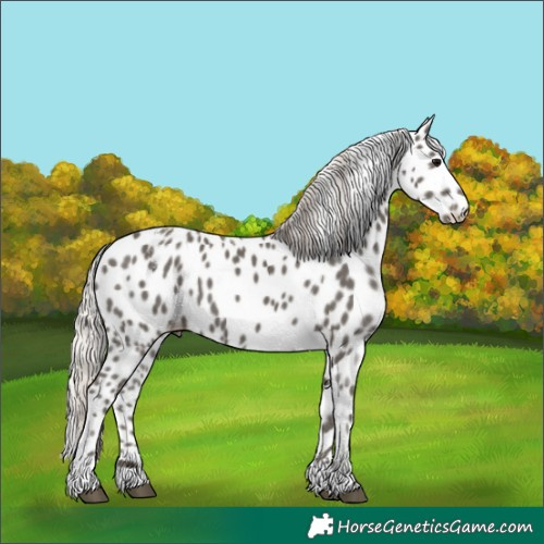 Horse Color:Powder White Silver Black Tobiano Leopard