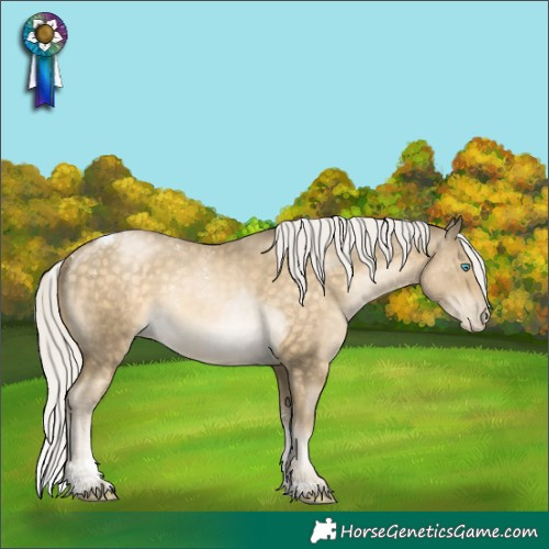 Horse Color:Powder White Silver Buckskin Pearl Tobiano 