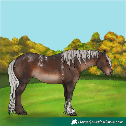 Horse Color:Powder White Silver Brown 