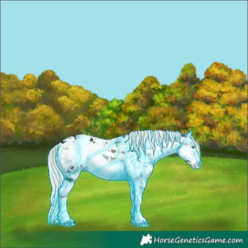 Horse Color:Thunderstruck White Spotted Liver Red Onyx Ice Mushroom Sabino Splash Skewed LP Spotted