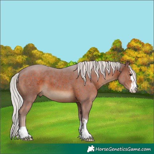 Horse Color:Silver Brown 