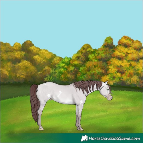 Horse Color:Platinum White Spotted Chocolate Sable Cream Champagne Dun