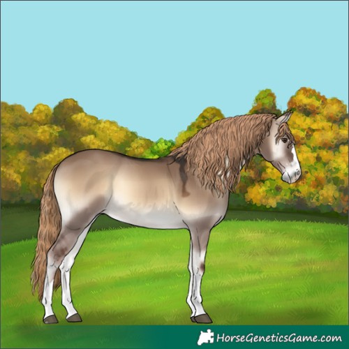 Horse Color:Liver Red Dun Onyx