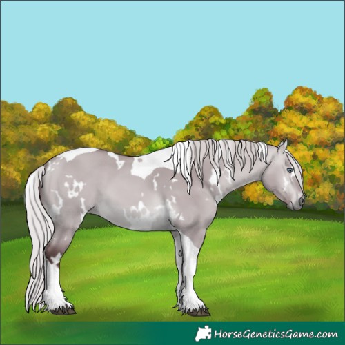 Horse Color:White Spotted Chocolate Silver Bay Chinchilla Dun Tobiano 