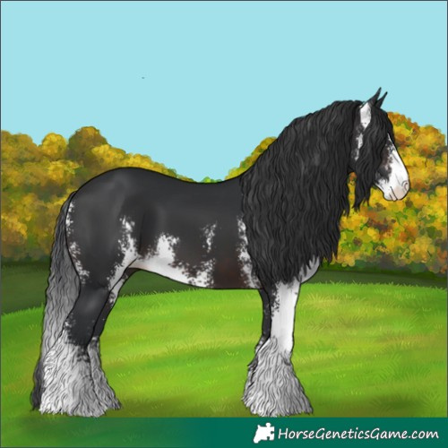 Horse Color:Brown Sabino 