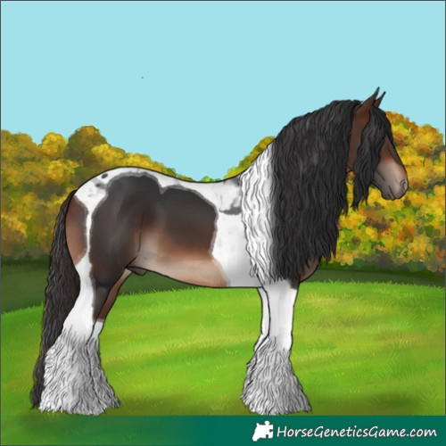 Horse Color:Brown Tobiano 