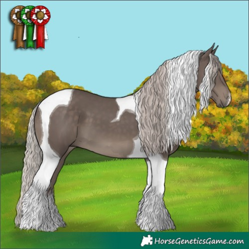 Horse Color:Silver Black Tobiano 