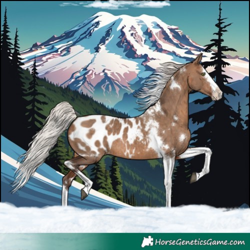 Horse Color:White Spotted Silver Brown Dun Splash Tobiano Blanket Rabicano Brindle 