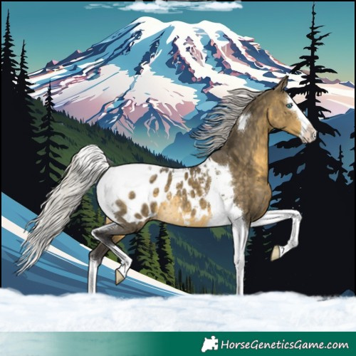 Horse Color:Silver Buckskin Dun Splash Tobiano Blanket Rabicano Brindle 