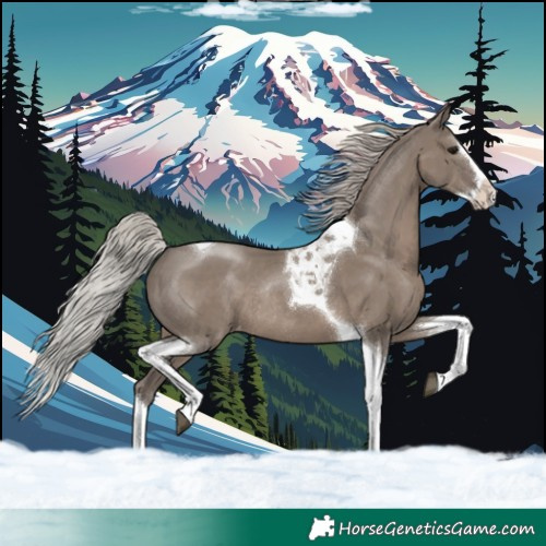 Horse Color:Silver Grullo Splash Tobiano Varnish Rabicano 