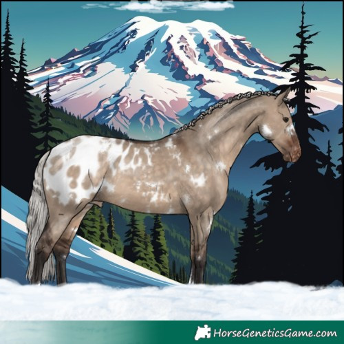 Horse Color:White Spotted Silver Brown Dun Tobiano Blanket Rabicano