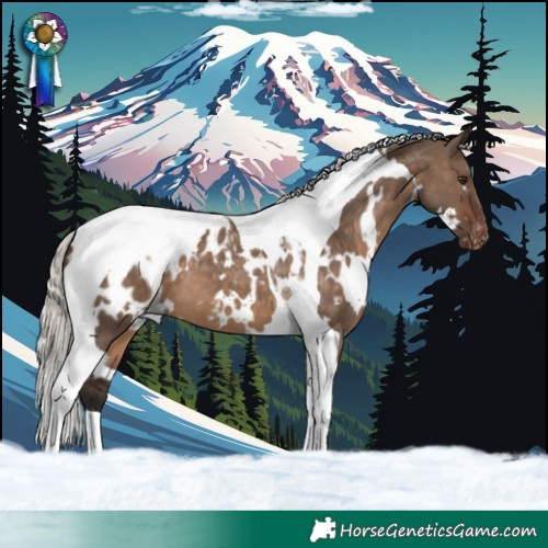 Horse Color:White Spotted Silver Brown Dun Tobiano Blanket