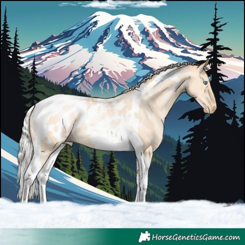 Horse Color:Silver Buckskin Pearl Dun Tobiano Blanket