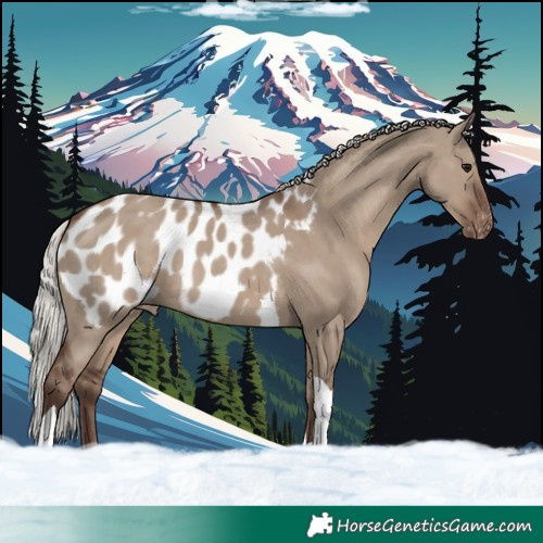 Horse Color:Silver Grullo Tobiano Blanket