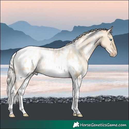 Horse Color:White Spotted Silver Smoky Grullo Pearl Tobiano Blanket 