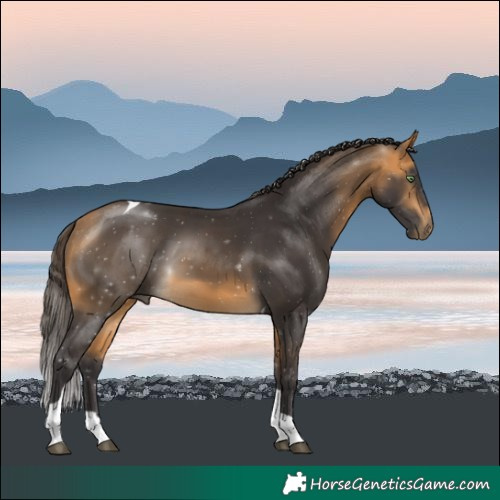 Horse Color:Buckskin Tobiano 
