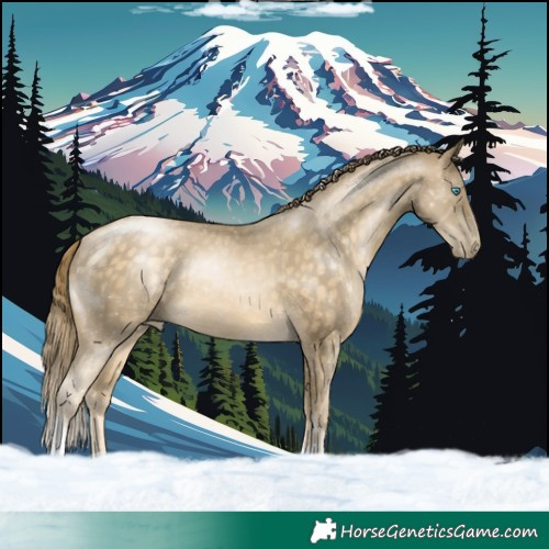 Horse Color:Buckskin Pearl Tobiano