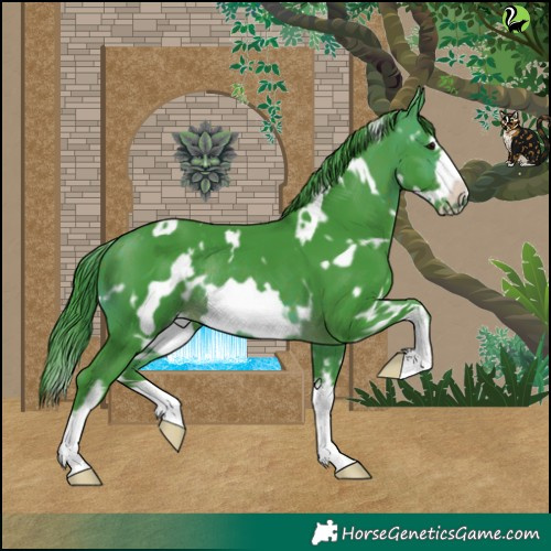 Horse Color:Watercolor White Spotted Brown Frame Rabicano 
