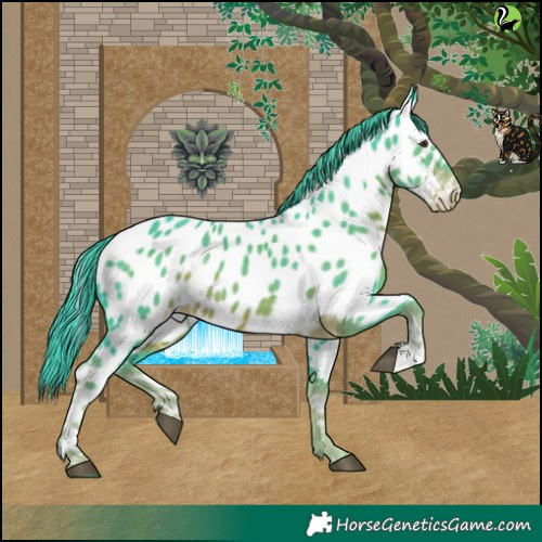 Horse Color:Watercolor Liver Chestnut Near Leopard Rabicano