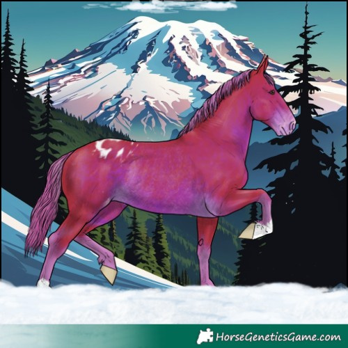 Horse Color:Watercolor Liver Chestnut Blanket Rabicano 