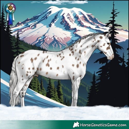 Horse Color:White Spotted Silver Brown Dun Tobiano Leopard