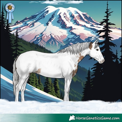 Horse Color:White Spotted Silver Brown Dun Splash Tobiano Snowcap