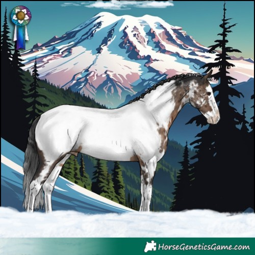 Horse Color:White Spotted Brown Dun Splash Near Fewspot Brindle 