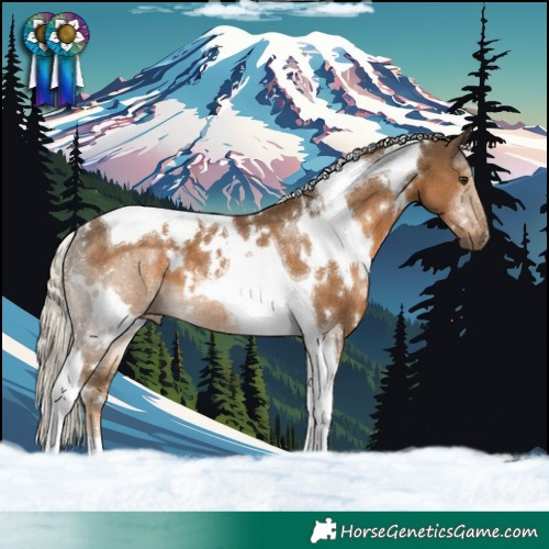 Horse Color:White Spotted Chocolate Palomino Tobiano