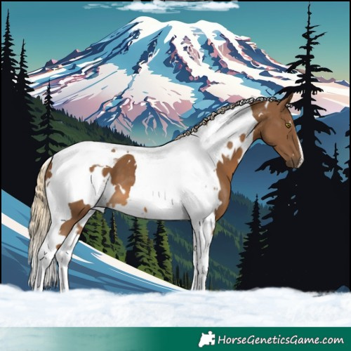 Horse Color:White Spotted Chocolate Palomino Tobiano