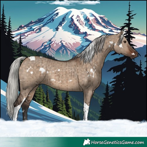 Horse Color:White Spotted Silver Brown Dun Tobiano Rabicano Brindle 