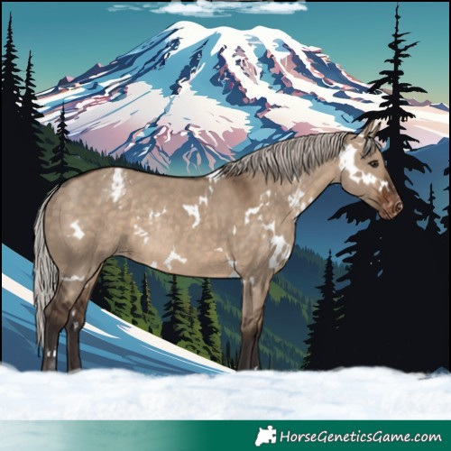 Horse Color:White Spotted Silver Brown Dun Snowcap Rabicano 