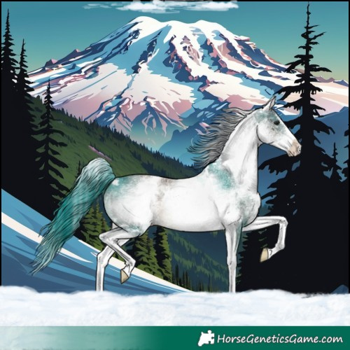 Horse Color:White Spotted Brown Dun Splash Rabicano