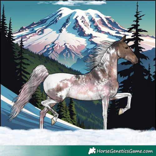 Horse Color:White Spotted Brown Dun Tobiano Rabicano Brindle