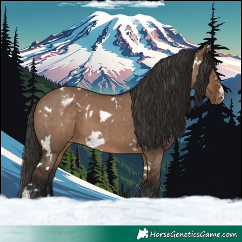 Horse Color:White Spotted Liver Red Dun Varnish