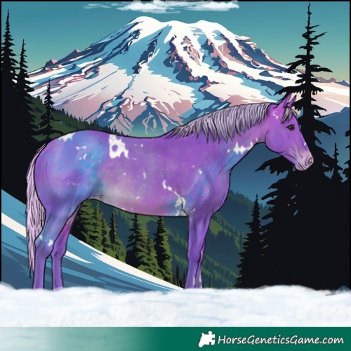 Horse Color:Watercolor White Spotted Silver Brown Varnish