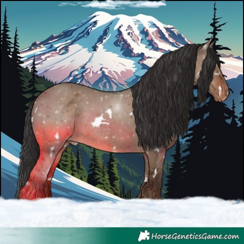 Horse Color:White Spotted Liver Red Dun Varnish