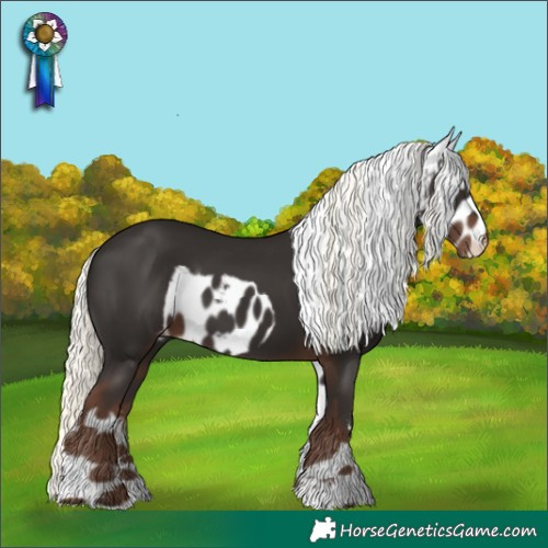 Horse Color:Liver Chestnut Mushroom Skewed LP Spotted 