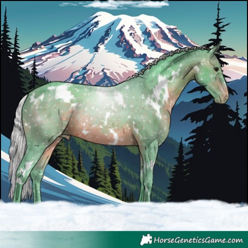 Horse Color:Watercolor White Spotted Silver Brown Blanket