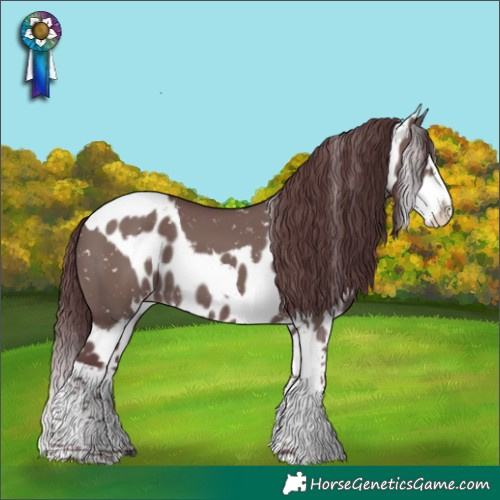 Horse Color:Chocolate Grullo Mushroom Splash Tobiano Skewed LP Spotted