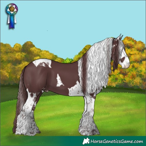 Horse Color:Chocolate Black Mushroom Splash Tobiano Skewed LP Spotted
