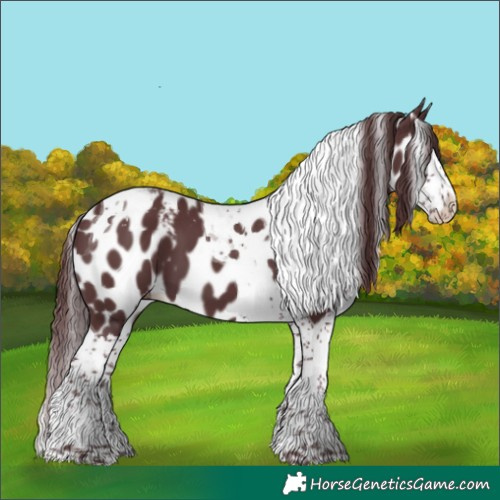 Horse Color:Chocolate Black Mushroom Splash Tobiano Skewed LP Spotted