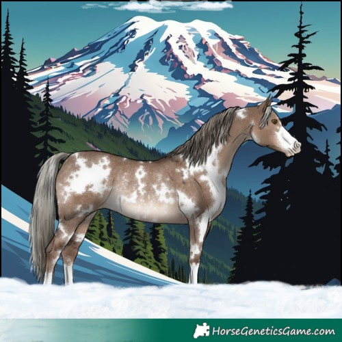 Horse Color:White Spotted Liver Red Dun Mushroom Varnish Rabicano