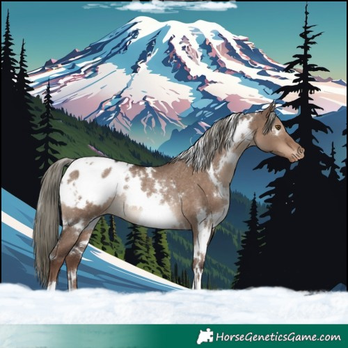 Horse Color:White Spotted Liver Red Dun Mushroom Blanket Rabicano