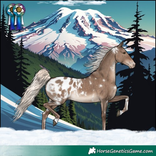 Horse Color:White Spotted Liver Red Dun Mushroom Blanket Rabicano
