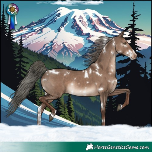 Horse Color:White Spotted Liver Red Dun Mushroom Varnish Rabicano 
